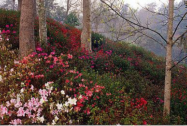 TGA获奖作品《奇妙逃亡》下周登陆PS和Switch